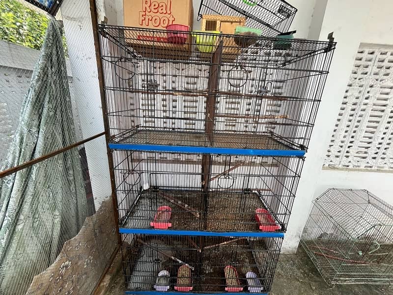 8 portions  cage with stick and all accessories with some birds 2