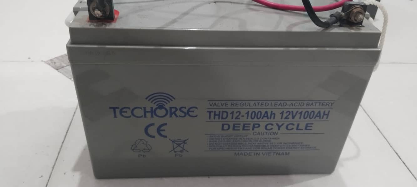 Techorse dry battery for sale 1