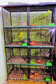 cage for sale Contact no:03214810000