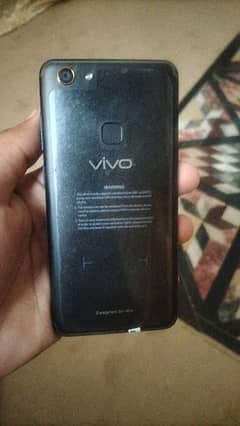 Vivo