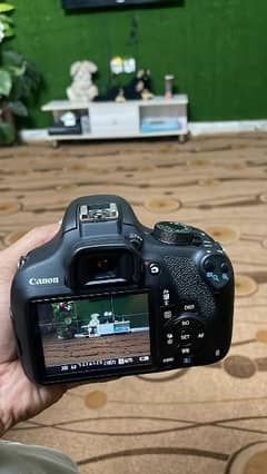 2100d Canon