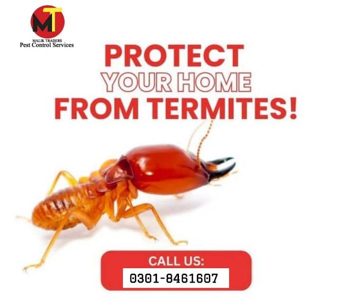 pest control services 5