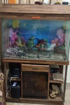 Fish tank Aquarium