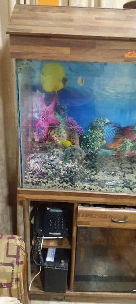 Fish tank Aquarium 3