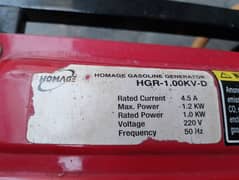 Homage Gasoline Generator