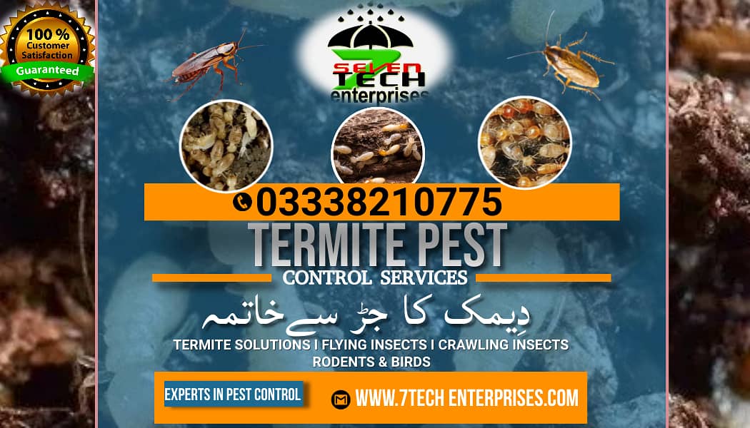 Termite control| Pre Construction|Dengue spary,Fumgation,Pest control 19