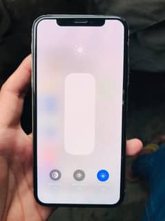 Iphone x (256gb)