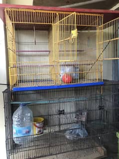 Parrot Cages 8 Portion | 3 Portion | 2 Portion