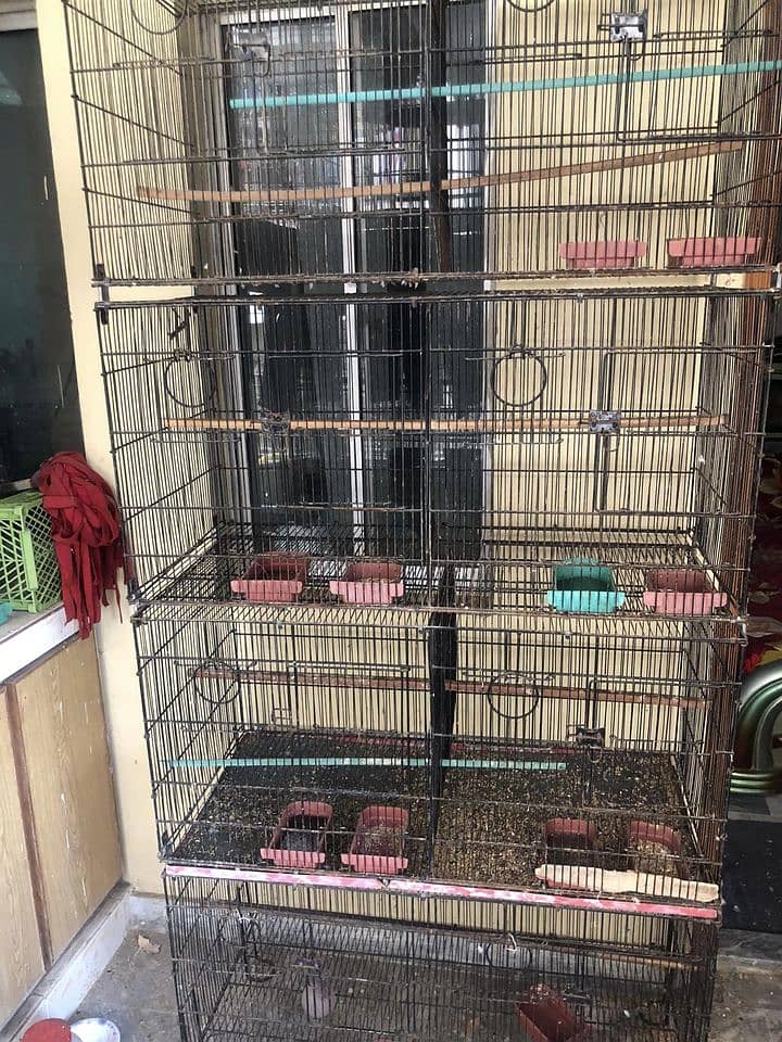 Parrot Cages 8 Portion | 3 Portion | 2 Portion 1