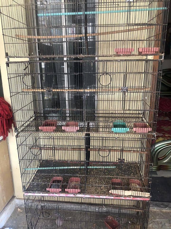 Parrot Cages 8 Portion | 3 Portion | 2 Portion 2