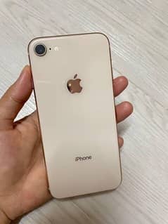 iphone 8 non pta uae varient for tik tok live 10/10