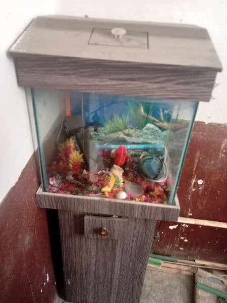 Fish aquarium and baby staller 1