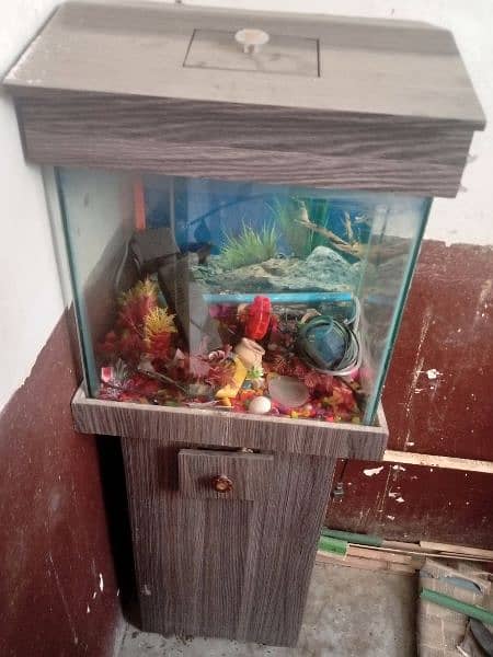 Fish aquarium and baby staller 3