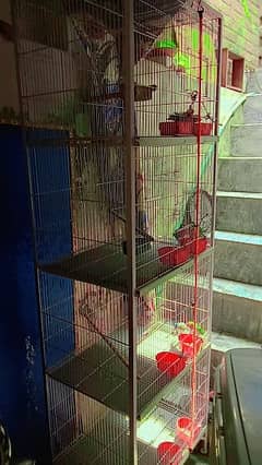 4 porchion cage and love birds 3pair