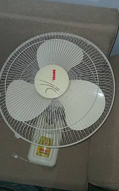 Royal Fan For Sale