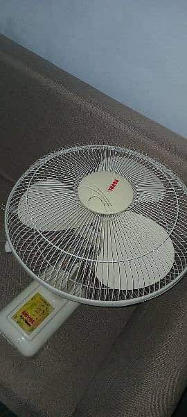 Royal Fan For Sale 1