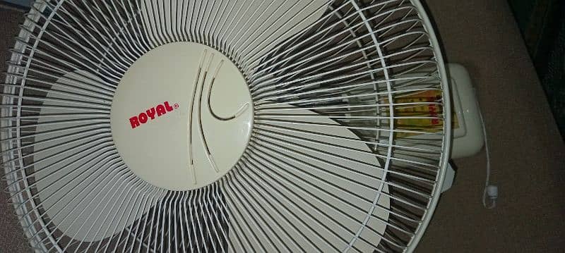 Royal Fan For Sale 3