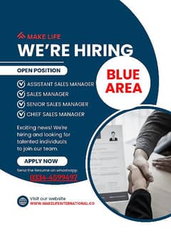 Assistant Sales Manager, Senior Sales Manager, Chief Sales Manager 0