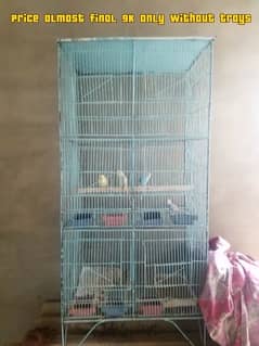 6 portions cage without tray with unique birds read ad