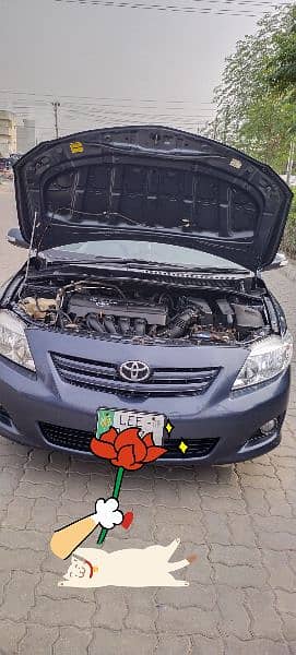 Toyota Corolla Altis 2009 1