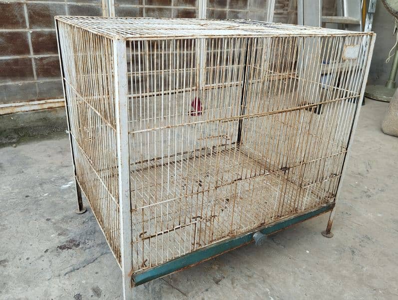 parrot cage 2