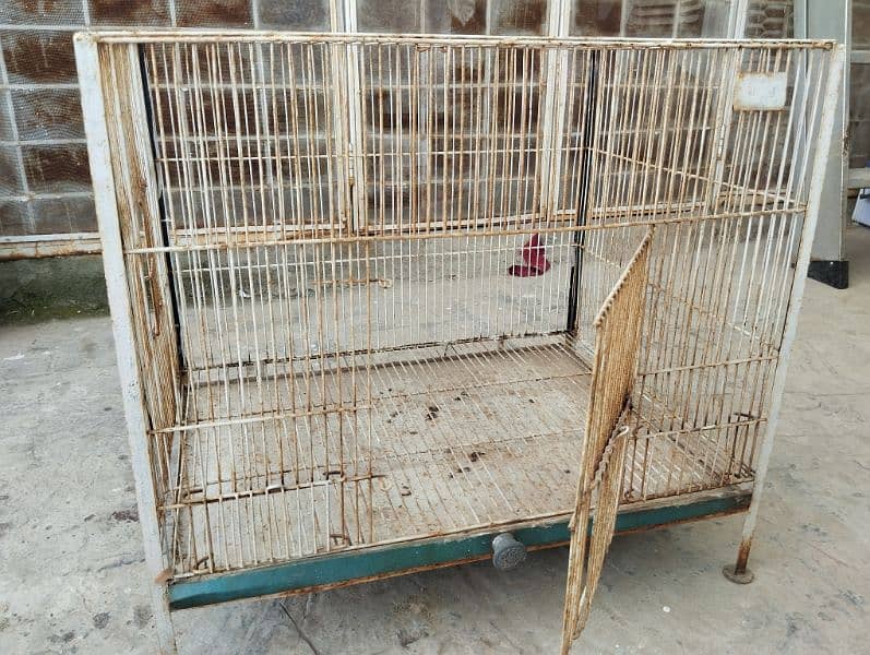 parrot cage 3