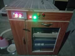 300+ Eggs Fully Automatic Incubator for Sale with Hetcher + Setter