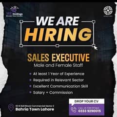 sales executive