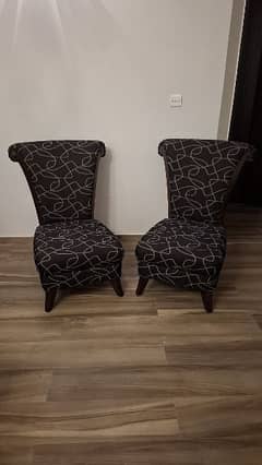 Set of 2 Chairs