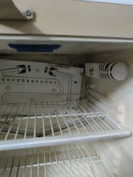 FRIDGE FOR SALE 3