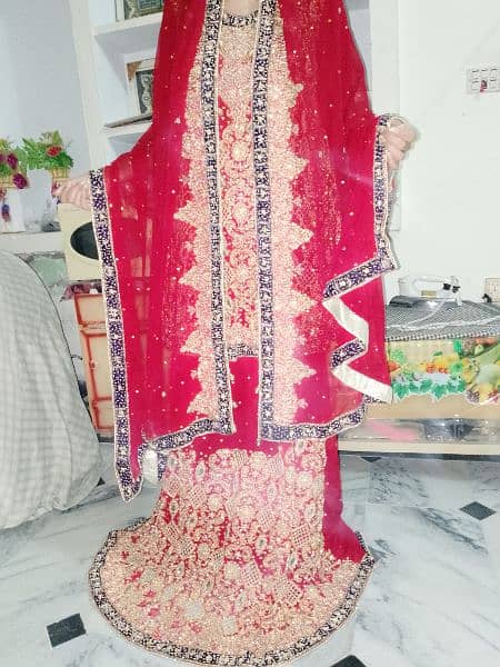 bride walima dress 5