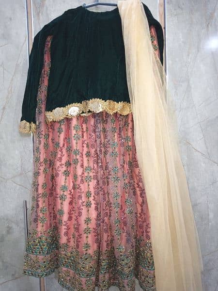 Bridal lehnga / Wedding dress / Barat dress / bridal lehnga for sale 6