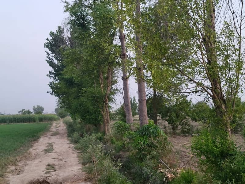 8 Kanal Agricultural Land for Sale 1