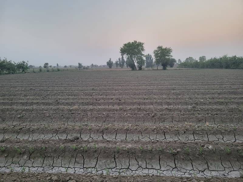 8 Kanal Agricultural Land for Sale 0