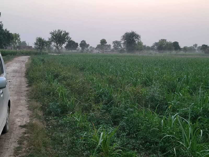 8 Kanal Agricultural Land for Sale 9