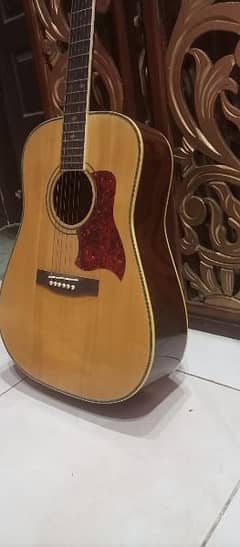 COPLEY GUITAR