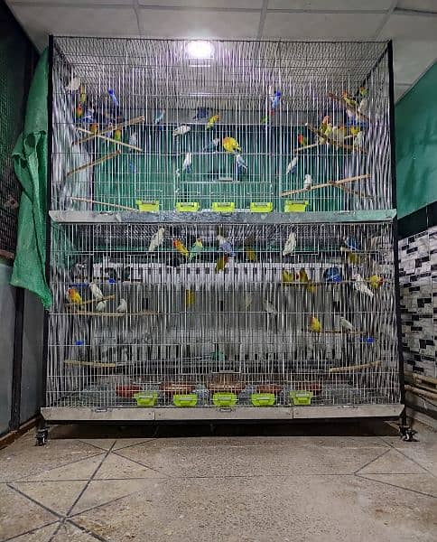 Love Birds Complete Setup with Cages Lumsum 0