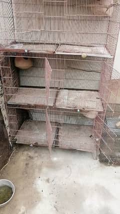 love birds cage for sale