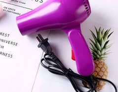 Hair Dryer For Women's. 0