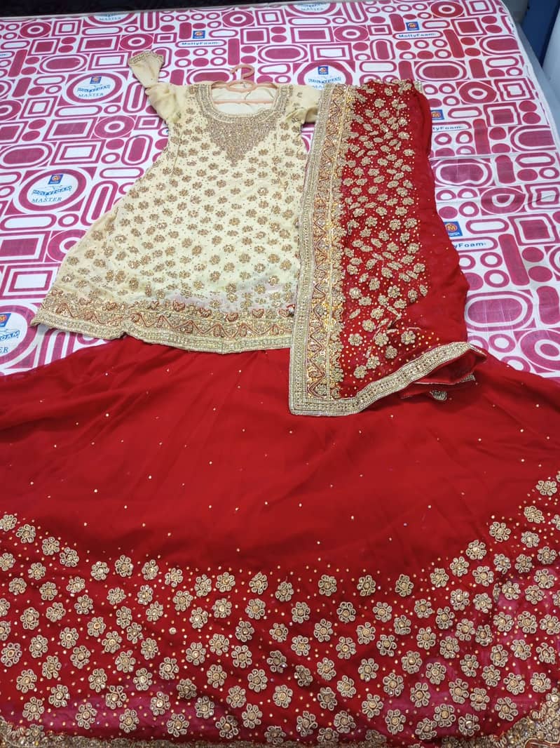 Bridal Sharara 1