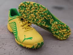 Puma Cricket Shoes Grippers