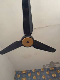 ac dc  fan. inverter brand zk fan  two colar  may. black and white