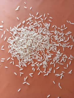 Rice Available In Wholesale.