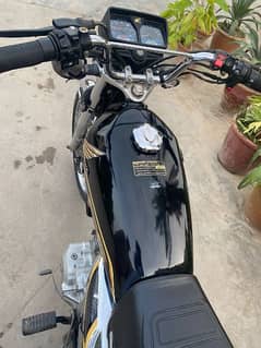 Honda 125SE (Self start)