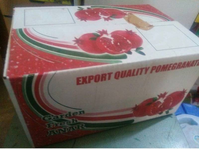 white pomegranate / sofaid anaar export quality 3