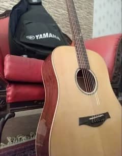 Dream Maker Acoustic  Guitar