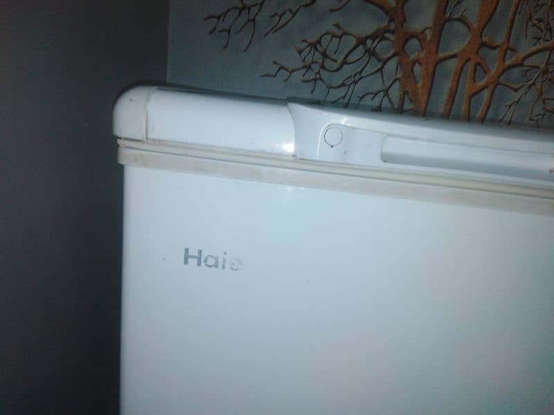 Haier freezer 1