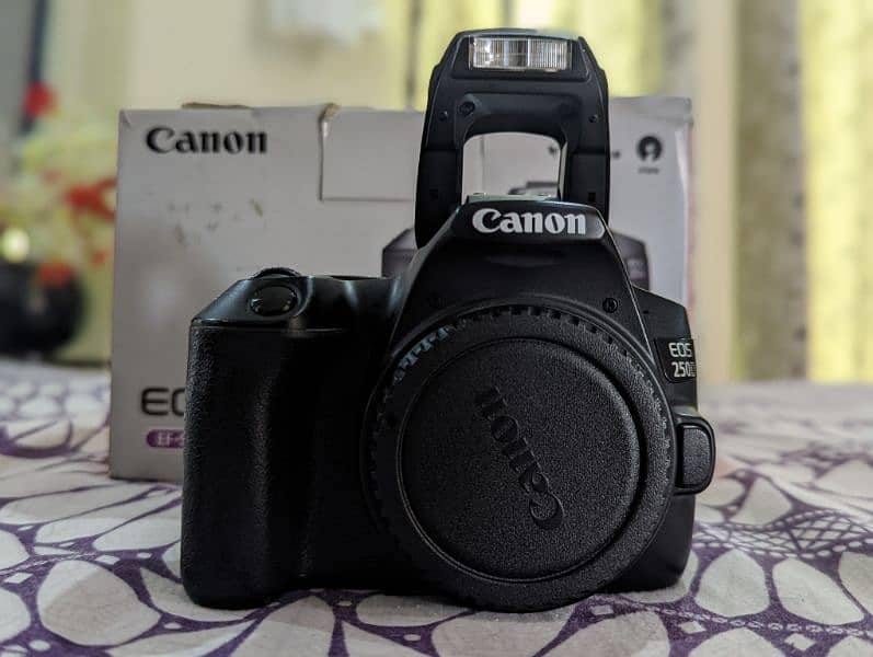 Canon 250D 4k camera 2