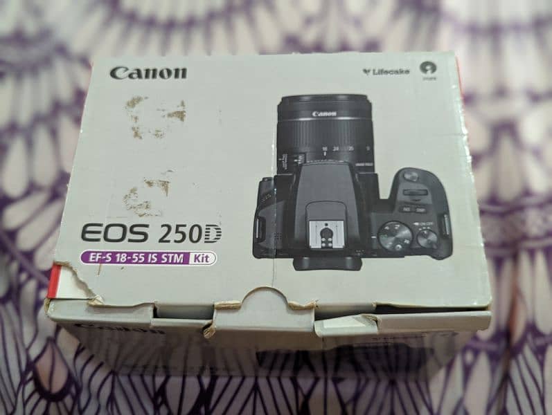 Canon 250D 4k camera 11