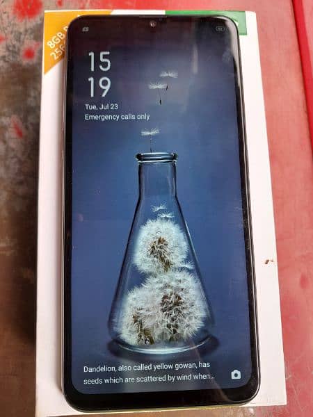 oppo f-11 Mobile8/256 phone with box and charger 2